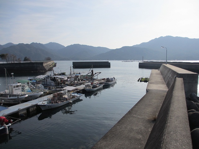 広島県丸石港の釣りポイント